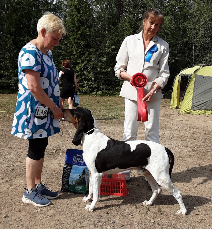 BIS_VET kuva